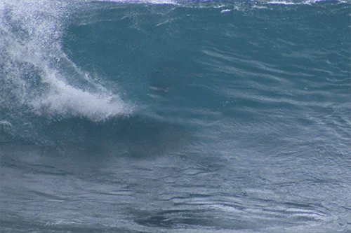 résultat après utilisation de l'outil supprimer de photoshop beta