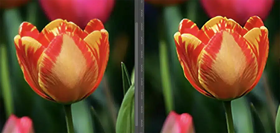 rééchantilloner une image pixelisée