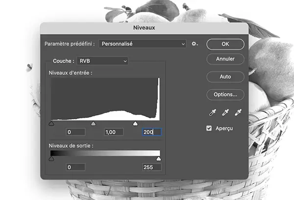 réglage des niveaux Photoshop