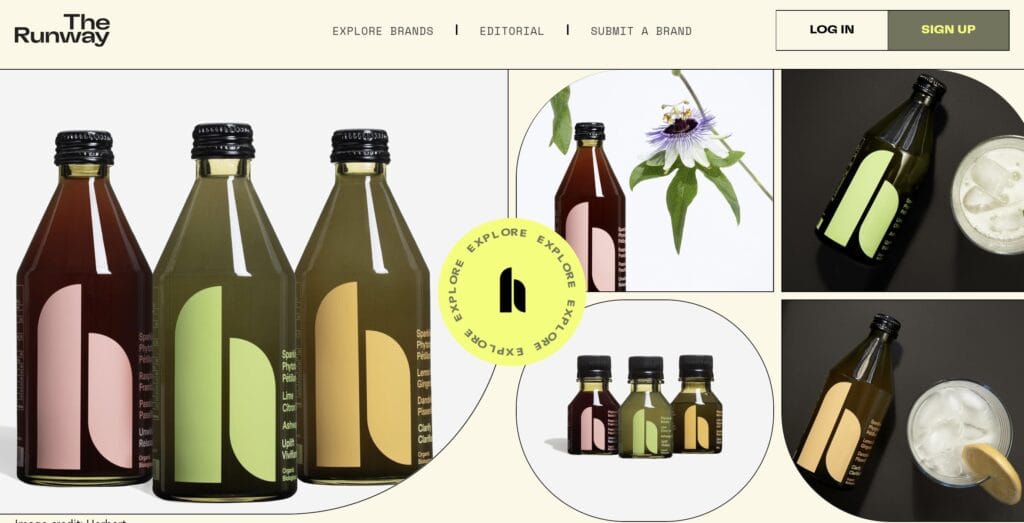 design du site The Runway